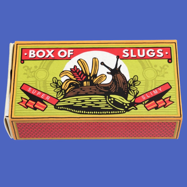 Box Of Slugs Novelty Toy / Gift - Brinsley Animal Rescue Shop