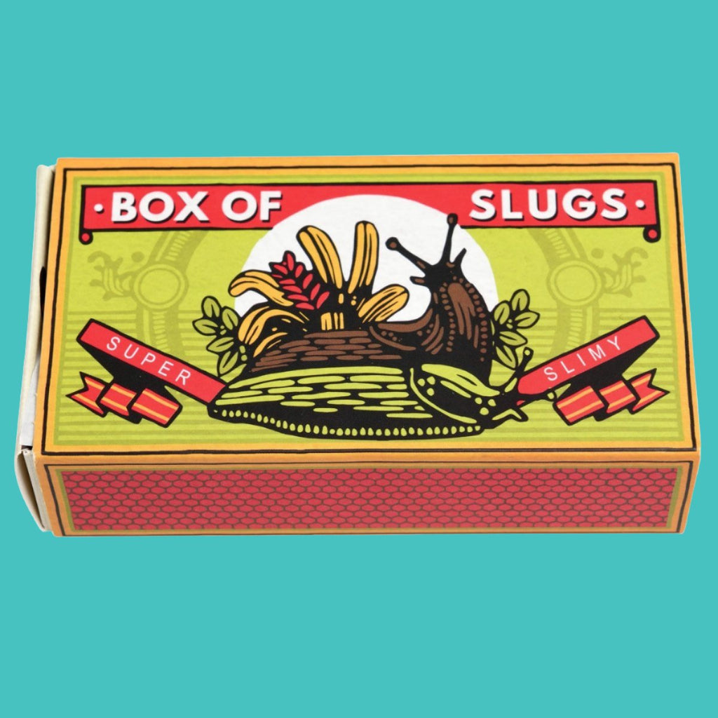 Box Of Slugs Novelty Toy / Gift - Brinsley Animal Rescue Shop