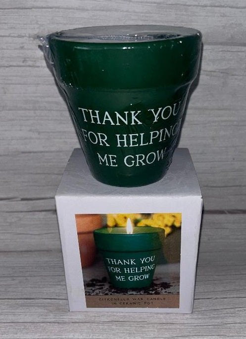 Garden citronella wax candle in pot - Brinsley Animal Rescue Shop