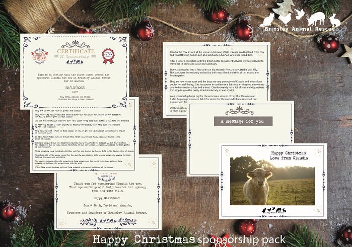 Christmas Sponsorship Pack For Claudia The Highland Cow - Brinsley Animal Rescue Shop