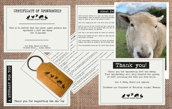 Sponsor Jeff The Sheep For Brinsley Animal Rescue. - Brinsley Animal Rescue Shop
