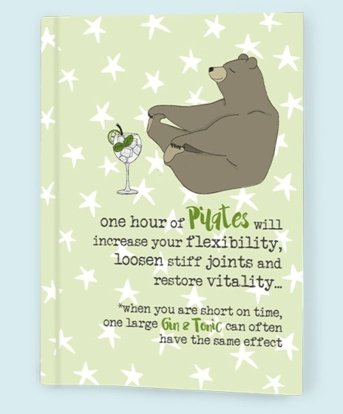 The Pilates & Gin A6 Notebook — so you can jot down your yoga poses with a gin and tonic in your other hand! - Brinsley Animal Rescue Shop